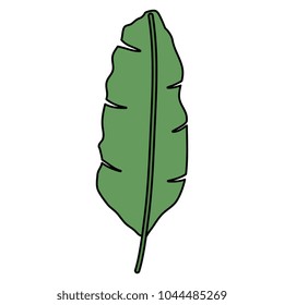 tropical leaf palm icon