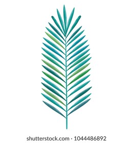 tropical leaf palm icon