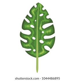 tropical leaf palm icon