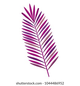 tropical leaf palm icon