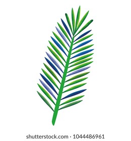 tropical leaf palm icon