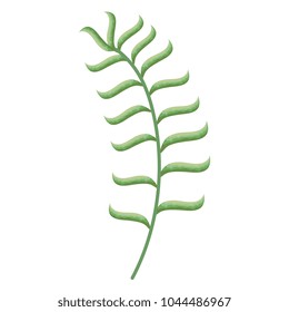 tropical leaf palm icon