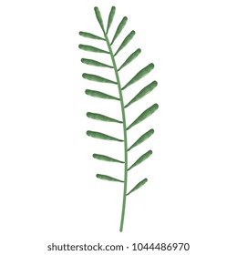 tropical leaf palm icon
