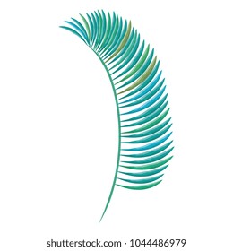 tropical leaf palm icon