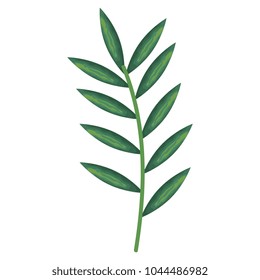tropical leaf palm icon