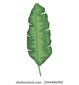 tropical leaf palm icon