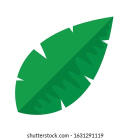 tropical leaf palm isolated icon vector illustration design