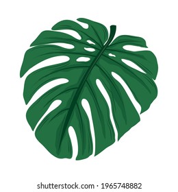 tropical leaf palm isolated icon