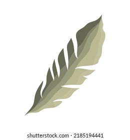 tropical leaf palm nature icon