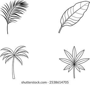 Tropical Leaf and Palm Tree Illustrations