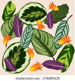 tropical leaf pattern background vector design flat style. indoor plant leaves variation pattern