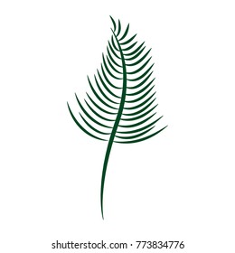 tropical leaf plant natural wild botanical