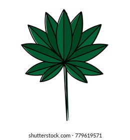 tropical leaf plant natural wild botanical