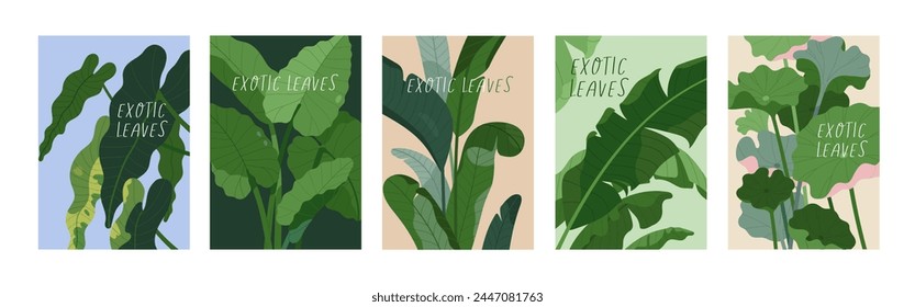 Tropical leaf plant, posters set. Exotic botanical cards with big green leaves, greenery. Natural floral backgrounds. Flora, vegetations, modern eco wall art collection. Flat vector illustration