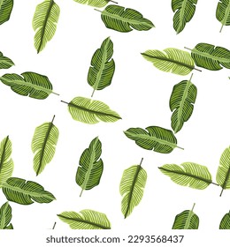 Tropical leaf seamless pattern. Exotic leaves background. Jungle plants endless wallpaper. Rainforest floral hawaiian backdrop. Design for fabric, textile print, wrapping, cover. Vector illustration