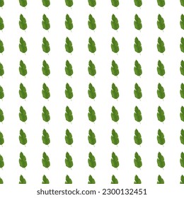 Patrón de hojas tropicales sin fisuras. Fondo de hojas exóticas. Papel de pared sin fin de plantas de jungla. El entorno de la selva tropical de hawaianos florales. Diseño para tela, impresión textil, envoltura, cubierta. Ilustración del vector