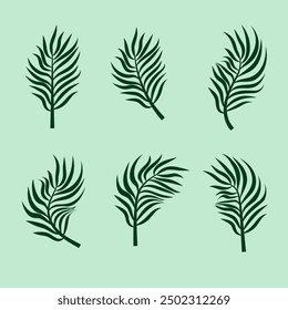 Tropical leaf set, the beauty of green nature