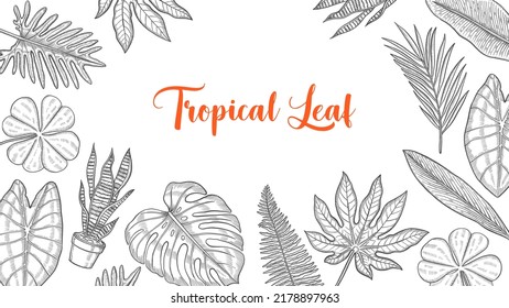 tropical leaf set collection with hand drawn sketch for background banner template poster