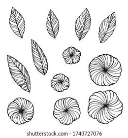 Tropical leaf set. Hand drawn vector illustration. Perfect for greetings, invitations, manufacture wrapping paper, textile, web design.