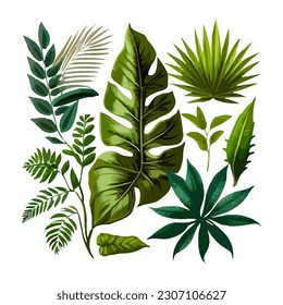 tropical leaf set watercolor illustration
