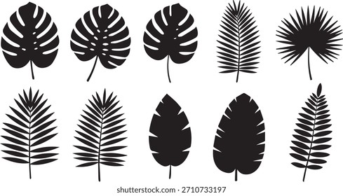 Conjunto de vetor de coleção de silhuetas de folhas tropicais