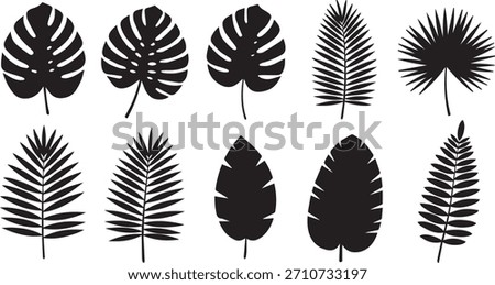 Tropical Leaf Silhouette Collection Vector Set