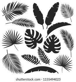 Tropical leaf silhouette set including monstera, palm, fern and banana leaves. Monochrome botanical elements for logo design, cosmetic packaging, textile print, wallpaper, invitation template and spa branding. Vector illustration.