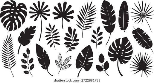 Tropical Leaf Silhouette Set Palm Monstera Botanical Vector Design