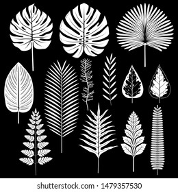 Tropical leaf silhouette set vector illustrations