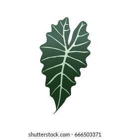 Tropical Leaf Silhouette Vector Illustration Decor Stock Vector ...