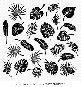 Tropical Leaf Silhouettes. Flat Vector Black and White Cutout Style Monstera, Ficus, Banana Leaf, Dracaena, Sabal Palm Leaves Collecton, Isolated. Design Templates for Home Decor, Invitations, Prints