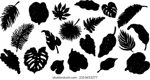 Tropical leaf silhouettes. Grunge exotic black set of elements with shabby texture. Vector big monochrome set. Elements for design