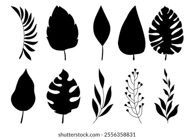 Tropical Leaf Silhouettes in Hand Drawn Style. Branches of herbs isolated on white background. Botanical plants with leaves. Simple black ink greenery