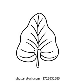 Tropical leaf silhouettes isolated on white background. Philodendron. Black outline vector illustration. 