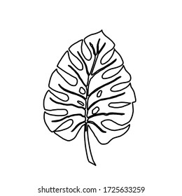 Tropical leaf silhouettes isolated on white background.  Monstera. Black outline vector illustration. 