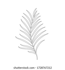 Tropical leaf silhouettes isolated on white background.  Chamaedorea. Black outline vector illustration. 
