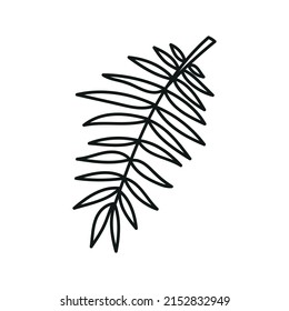 Tropical leaf silhouettes isolated on white background. Chamaedorea. Vector doodle