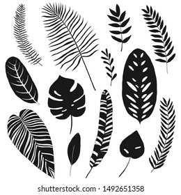 tropical leaf silhouettes, vector design