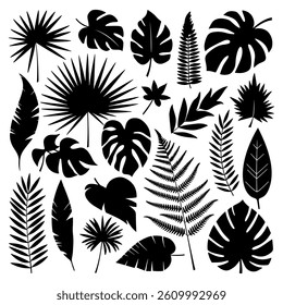 Tropical Leaf Silhouettes Vector Set – Monstera, Palm, Fern, Botanical Black Leaf Icons