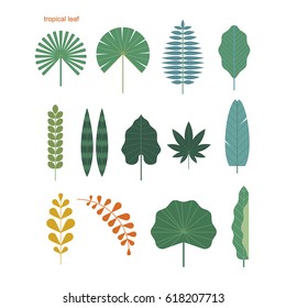 Tropical Leaf Source Vector Illustration Flat Design