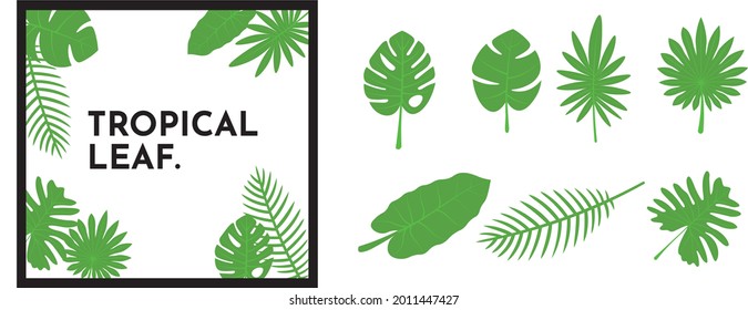 tropical leaf, Split Leaf Philodendron, Areca Palm, aralia etc 