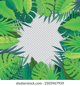 Tropical Leaf square Frame Green jungle foliage vector illustration with transparent background. Stock vector illustration in cartoon style.