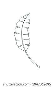 tropisches Blatt im Stil eines Umrisses. Vektorgrafik auf weißem Hintergrund