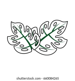 tropical leaf summer icon