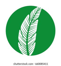 tropical leaf summer icon