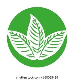 tropical leaf summer icon