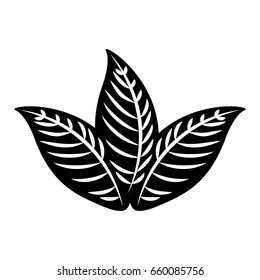 tropical leaf summer icon