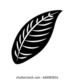 tropical leaf summer icon
