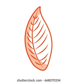 tropical leaf summer icon