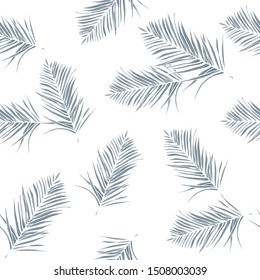 Tropical leaf texture, large palm foliage nature background